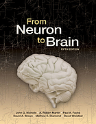 From neuron to brain