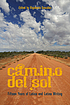 Camino del sol : fifteen years of Latina and Latino... by  Rigoberto González 