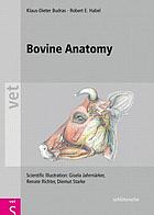 Bovine anatomy an illustrated text