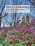 Front cover image for Deep learning
