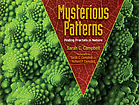 Mysterious patterns : finding fractals in nature