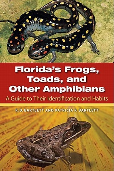 Florida's frogs, toads, and other amphibians : a guide to their