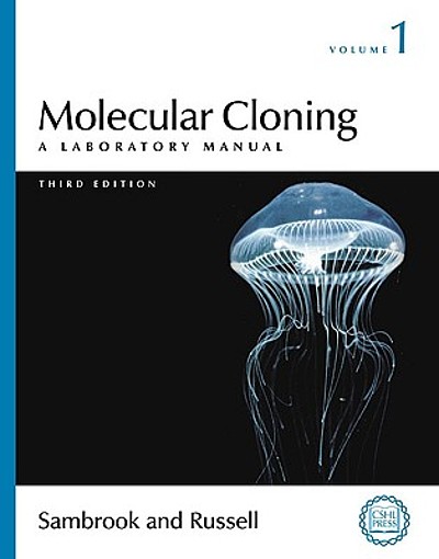 Molecular cloning : a laboratory manual | WorldCat.org