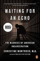Waiting for an echo : the madness of American incarceration