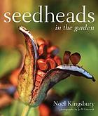 Seedheads in the garden