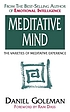 The meditative mind : the varieties of meditative... door Daniel Goleman