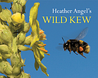 Heather Angel's wild Kew.