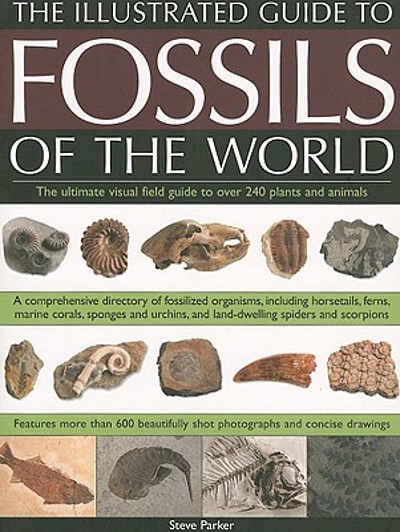 An illustrated guide to the fossils of the world : the ultimate field ...