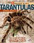 Tarantulas : supersized predators by  Sandra Markle 