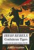 Irish rebels, Confederate tigers : the 6th Louisiana... by  James P Gannon 