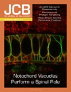 The journal of cell biology.