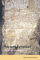 Ancient Egyptian a linguistic introduction