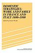 Domestic strategies : work and family in France... Autor: S  J Woolf