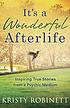 It's a wonderful afterlife : inspiring true stories... by  Kristy Robinett 