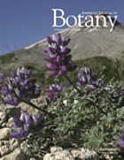 American journal of botany.