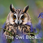The owl book