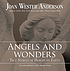 Angels and wonders : true stories of Heaven on... by  Joan Wester Anderson 