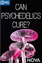 Can psychedelics cure? Cover Art