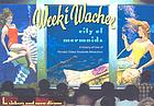 Weeki Wachee, city of mermaids : a history of one of Florida's oldest roadside attractions