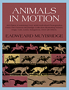 Animals in motion