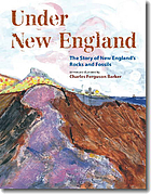 Under New England : the story of new england's rocks and fossils