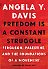 Front cover image for Freedom is a constant struggle : Ferguson, Palestine, and the foundations of a movement