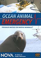Ocean animal emergency