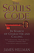 The soul's code : in search of character and calling by James Hillman