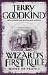 Wizard's first rule by Terry Goodkind