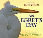 An egret's day