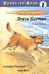 Brave Norman : a true story by  Andrew Clements 