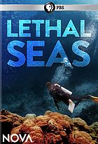 Cover Art for Lethal Seas