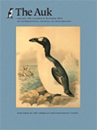 The auk : a quaterly journal of ornithology