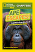 Ape escapes! : and more true stories of animals... by Aline Alexander Newman
