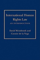 International human rights law : an introduction