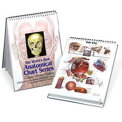 The Anatomical Chart Series : A Comprehensive Collection Of Classic ...