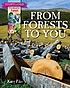 From forests to you by  Katy Pike 