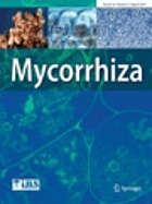 Mycorrhiza.