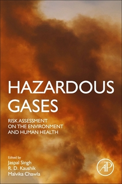 Hazardous Gases : Risk Assessment On The Environment And Human Health ...