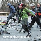 New York Alleycats