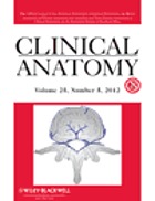 Clinical anatomy : journal of the American Association of Clinical Anatomists.