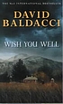 Wish you well by David Baldacci