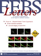 FEBS letters : an international journal for the rapid publication of short reports in biochemistry, biophysics and molecular biology