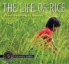 The life of rice : from seedling to supper