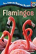 Flamingos by  Jean M Malone 