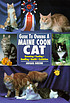 Guide to owning a maine coon cat by  Abigail Greene 