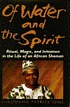 Of water and the spirit : ritual, magic, and initiation... by  Malidoma Patrice Somé 