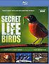 The secret life of birds : [the complete 5-part series]