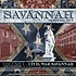Civil War Savannah by  Barry Sheehy 