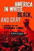 America in White, Black, and Gray: The Stormy... by Klaus P Fischer
